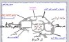 مخ الشباب.jpg