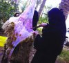 012.jpg