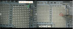 06.webp