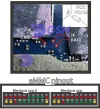 Realme C55 EMMC Pinout0.webp